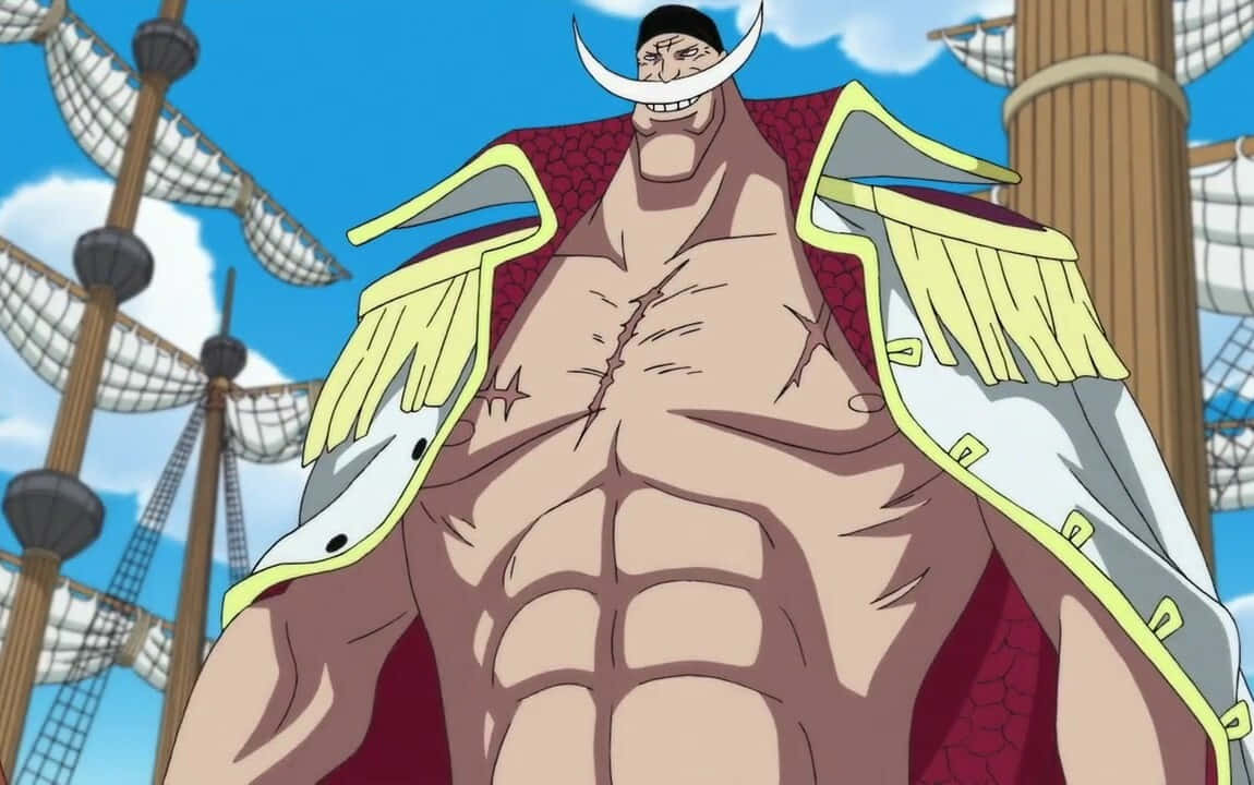 One Piece  Whitebeard Wallpaper  One Piece White Bird HD Png Download   1920x12001684150  PngFind