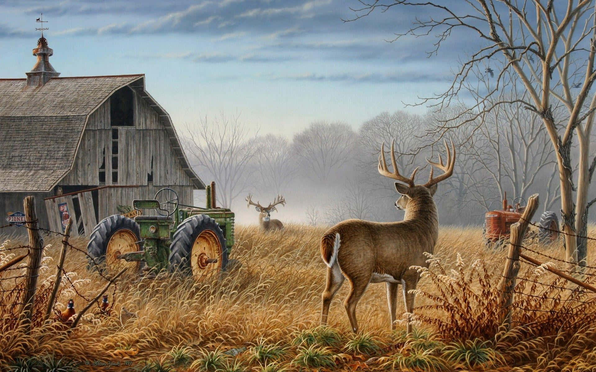 Explore the Wilderness with a Whitetail Deer Wallpaper