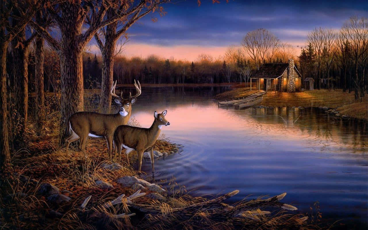Two Whitetail Deer By The Still Lake Wallpaper
