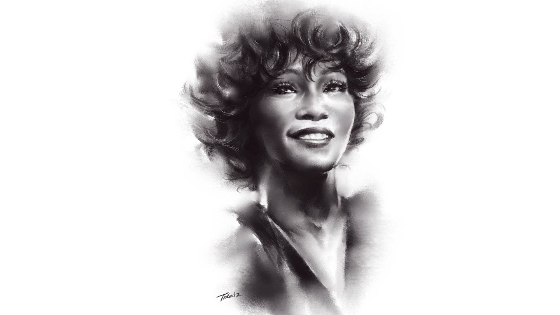 Disegno Artistico Dei Fan Di Whitney Houston Sfondo