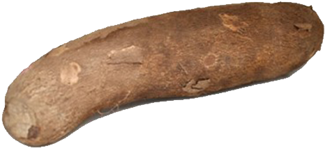 Whole Brown Yam Isolated.png PNG