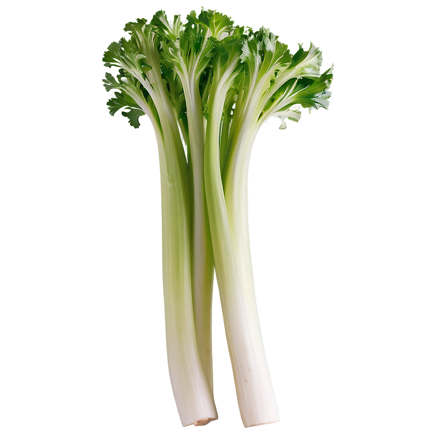 Whole Celery Bunch Png Wtq23 PNG