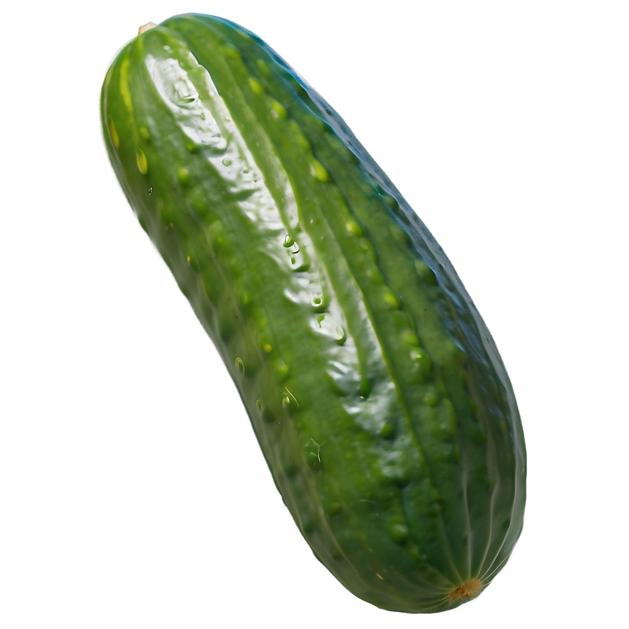 Whole Cucumber Png Hif PNG