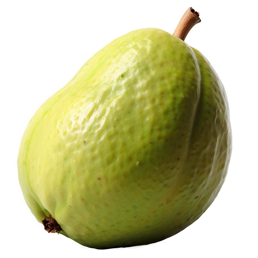Whole Guava Image Png 06252024 PNG