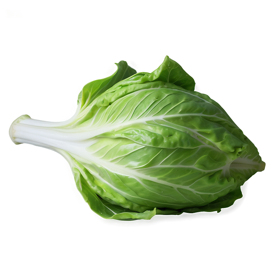 Whole Lettuce Head Png 05242024 PNG