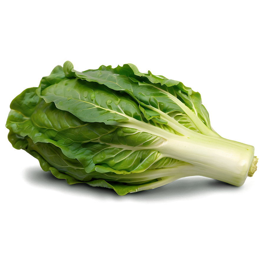 Whole Lettuce Head Png 77 PNG