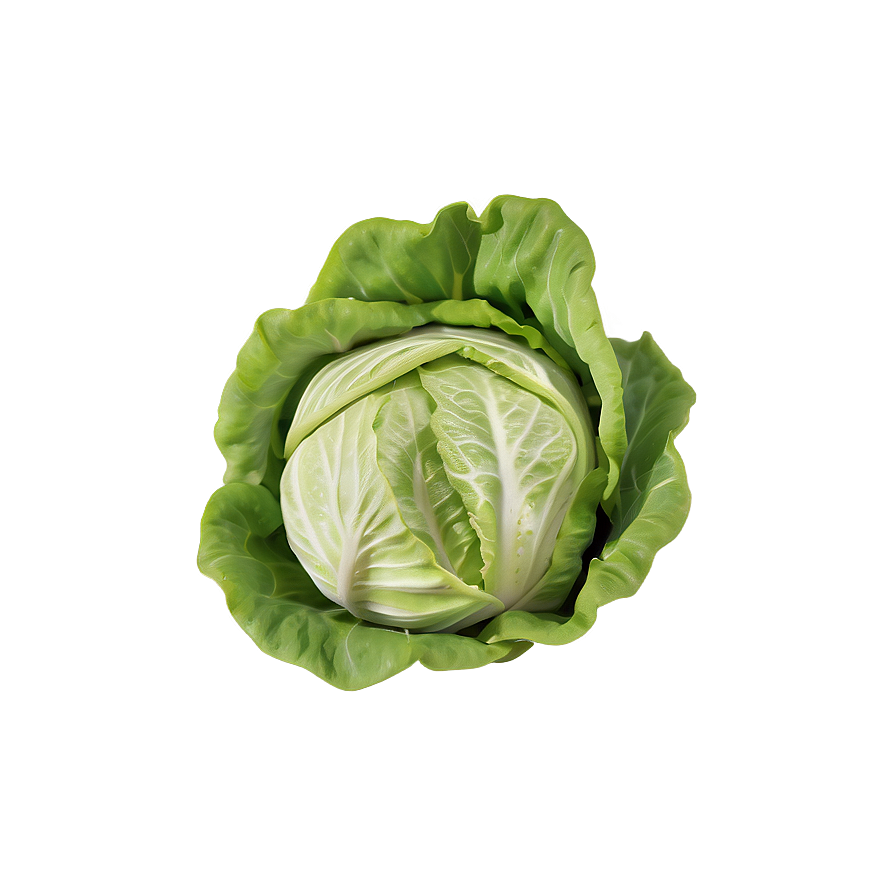 Whole Lettuce Head Png Nxo4 PNG