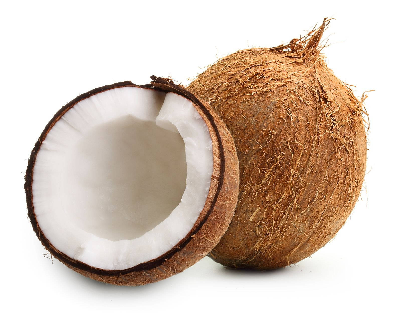 Whole Semi-husked Coconut Background