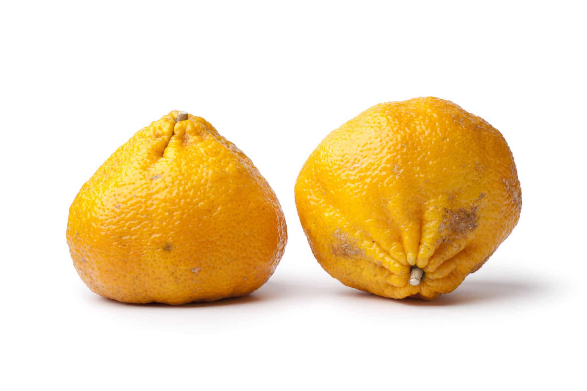 Helagula Ugli-citrusfrukter. Wallpaper