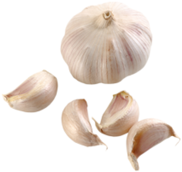 Wholeand Cloves Garlic Isolated PNG