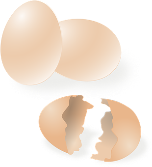 Wholeand Cracked Eggs Illustration PNG