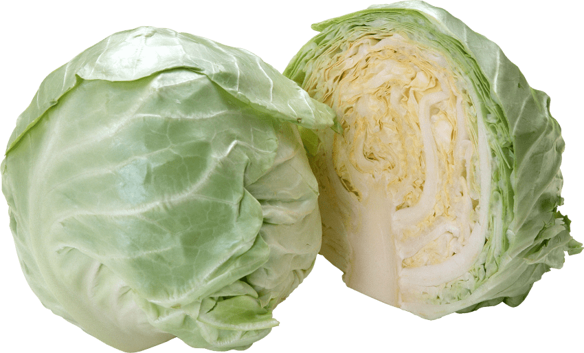 Wholeand Half Cabbage Display PNG