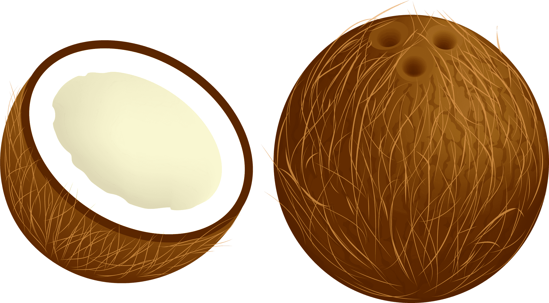 Wholeand Half Coconut Illustration PNG