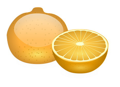 Wholeand Half Orange Illustration PNG