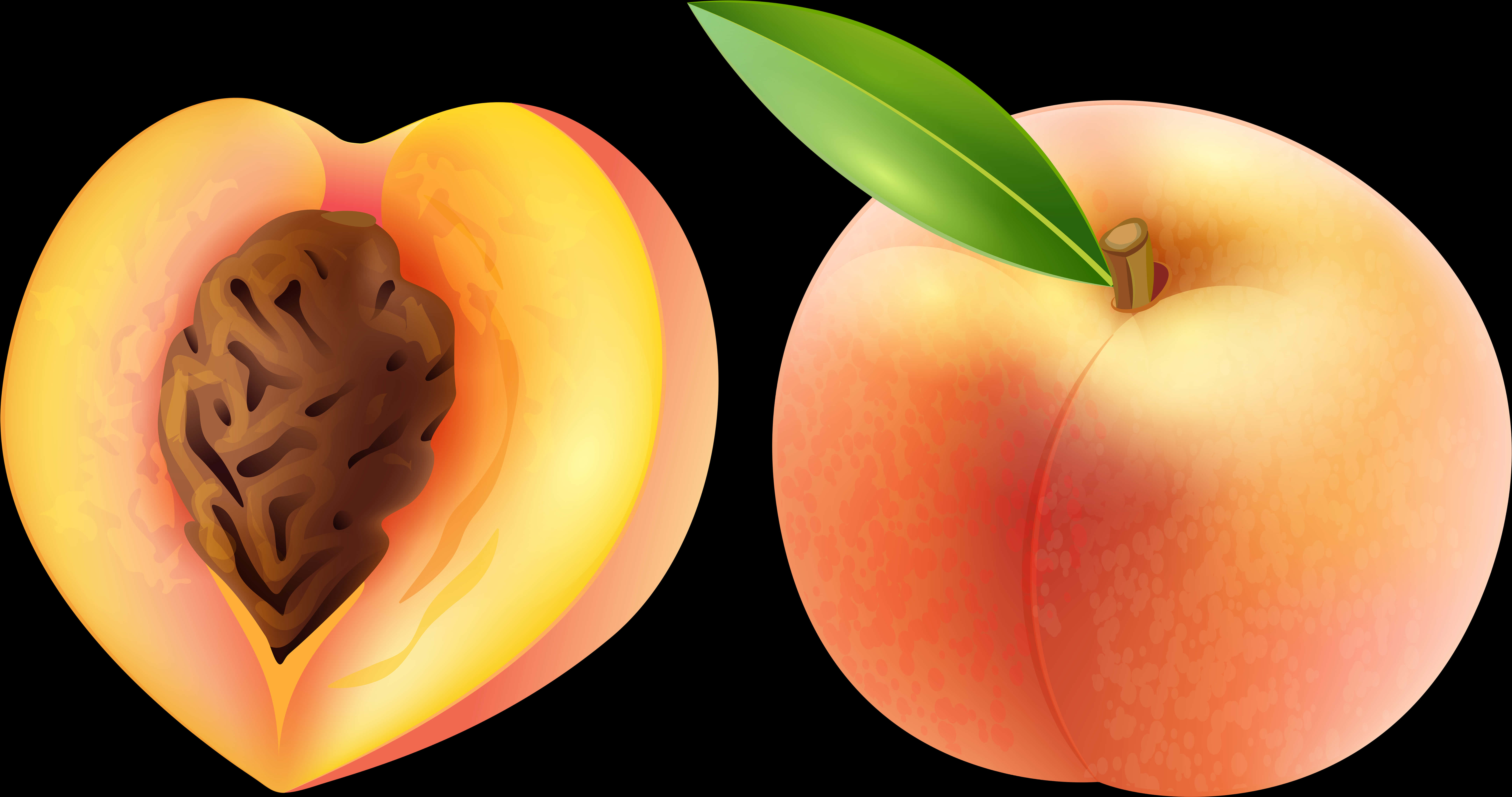 Wholeand Half Peach Illustration PNG