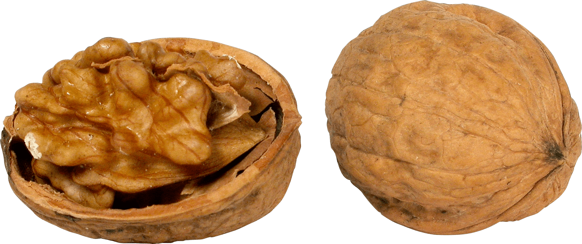 Wholeand Half Walnut PNG