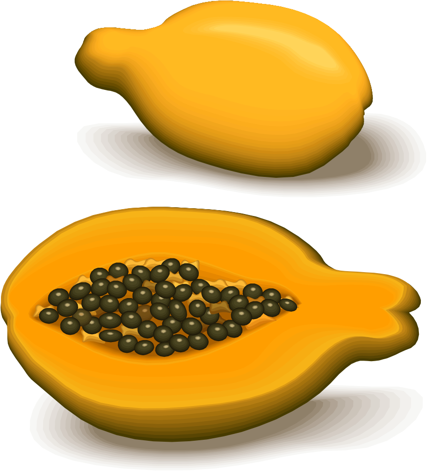 Wholeand Halved Papaya Illustration PNG