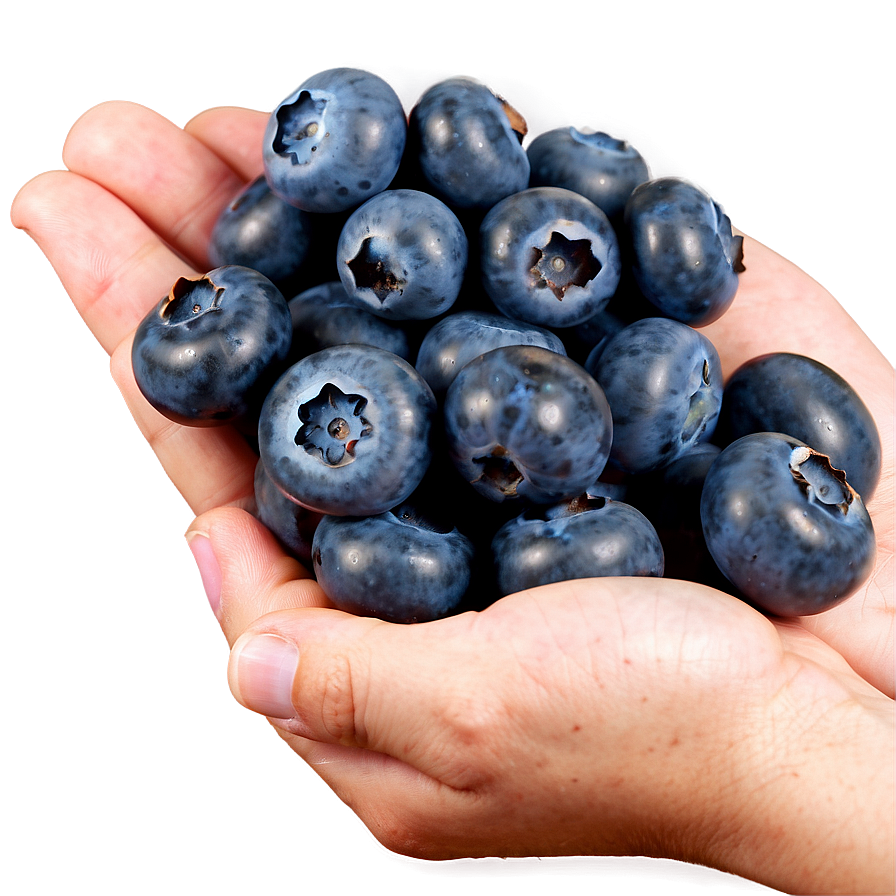 Wholesome Blueberry Handful Png Fdr61 PNG