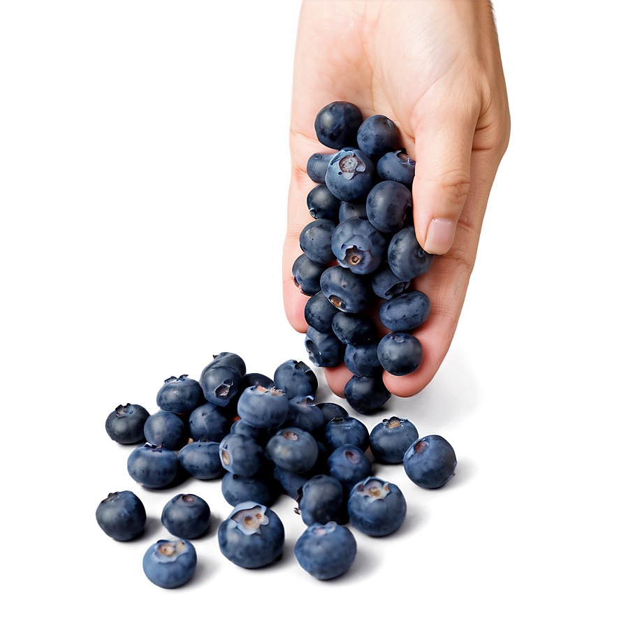 Wholesome Blueberry Handful Png Hoy PNG