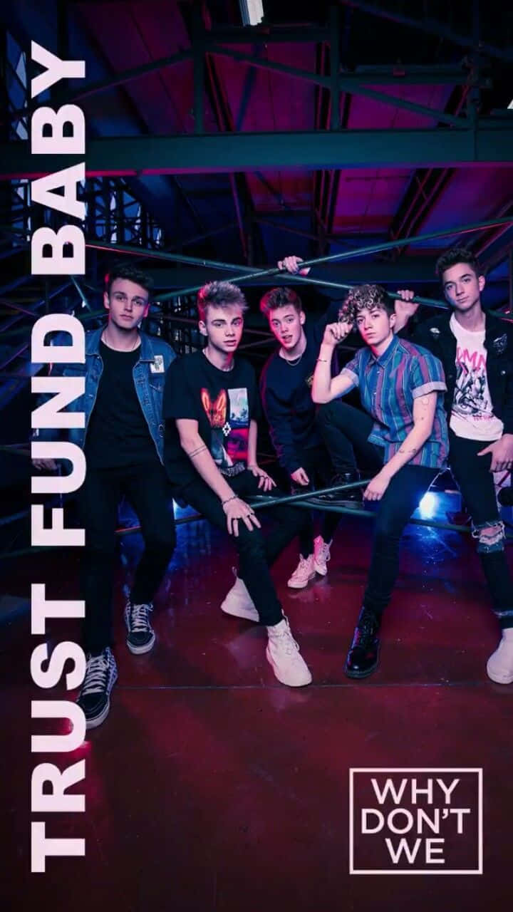 Trust Fund Baby - Why Don't We Wallpaper