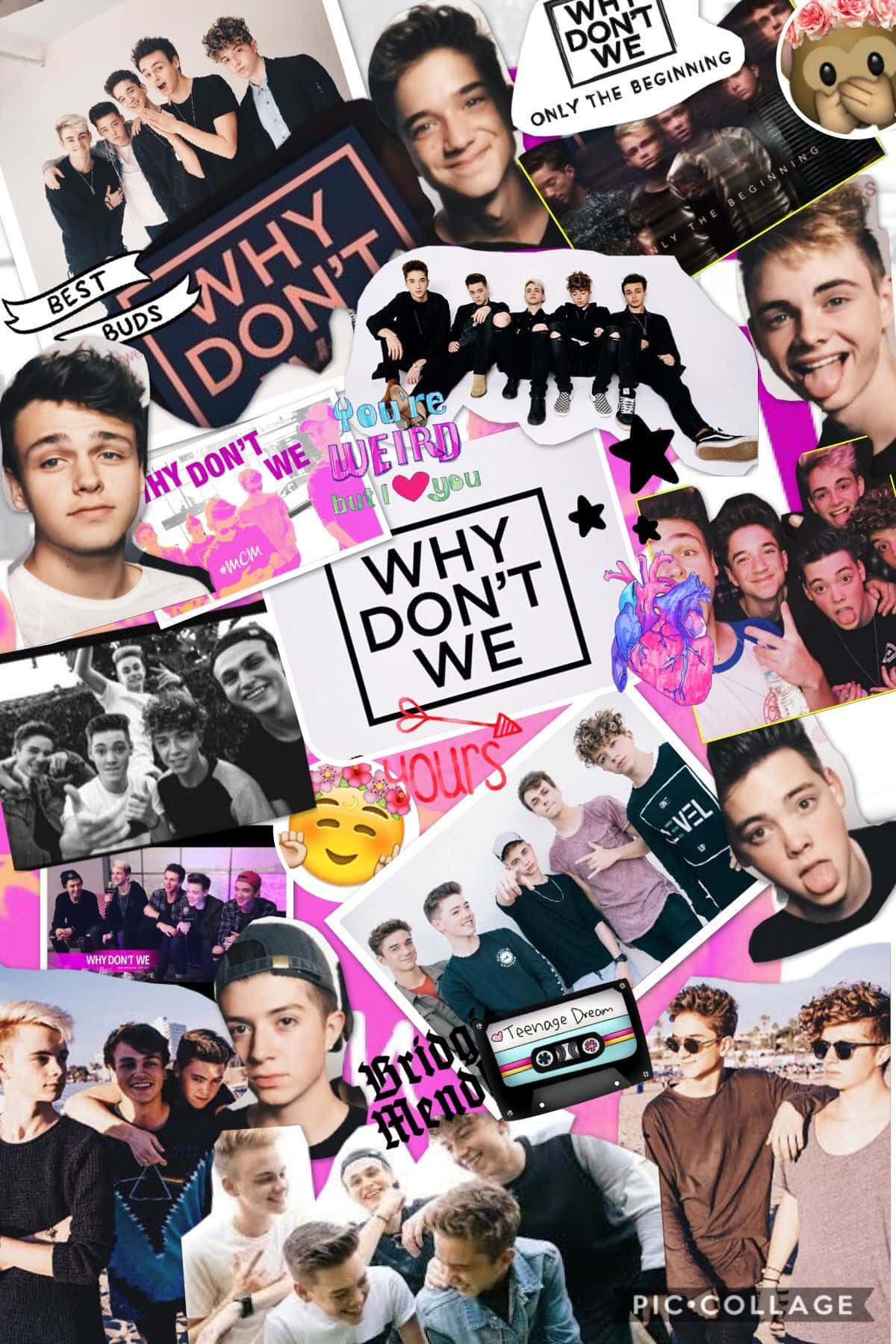 Why Don't Me Stickers Wallpaper