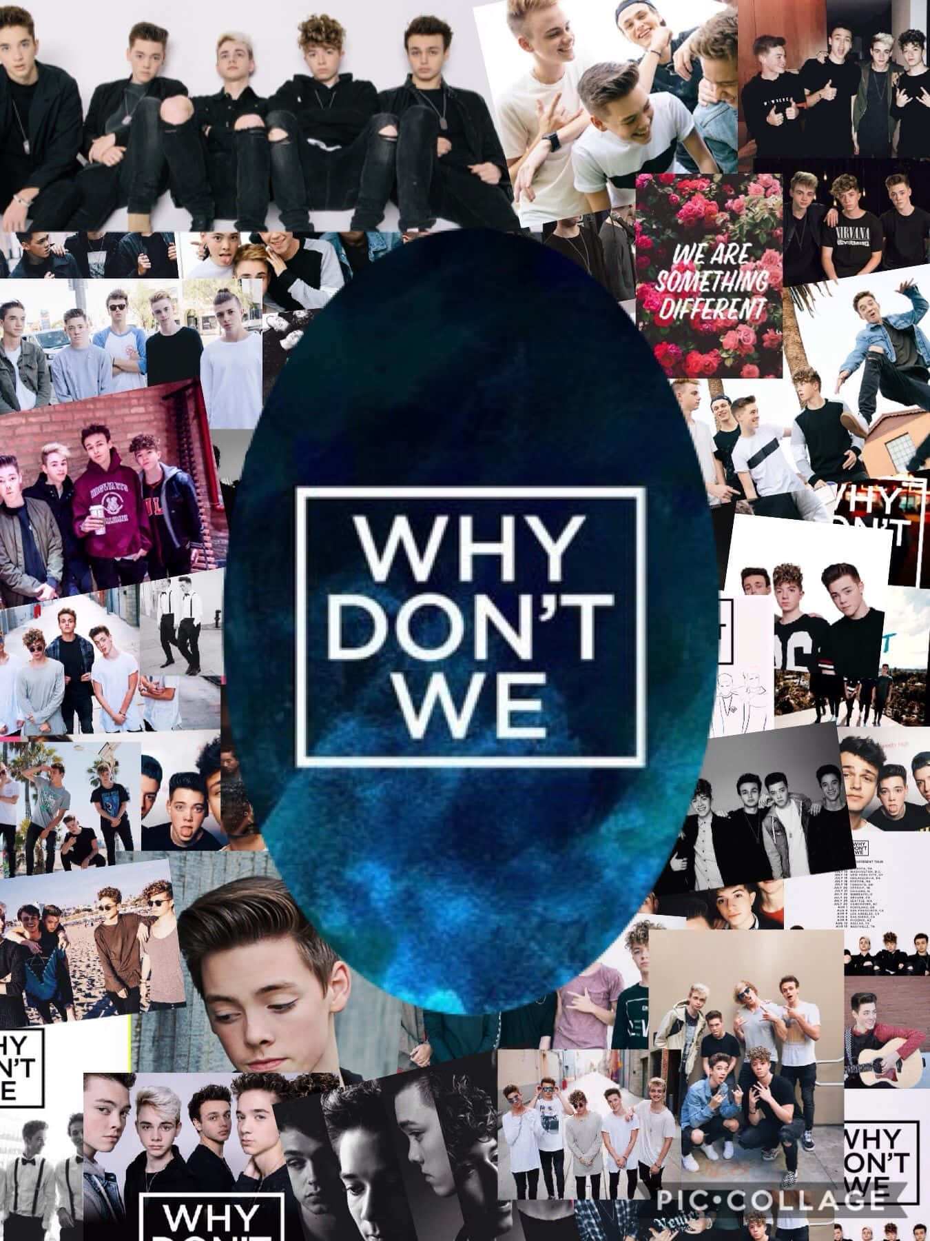 Why Don't We By Samantha Mccartney Wallpaper