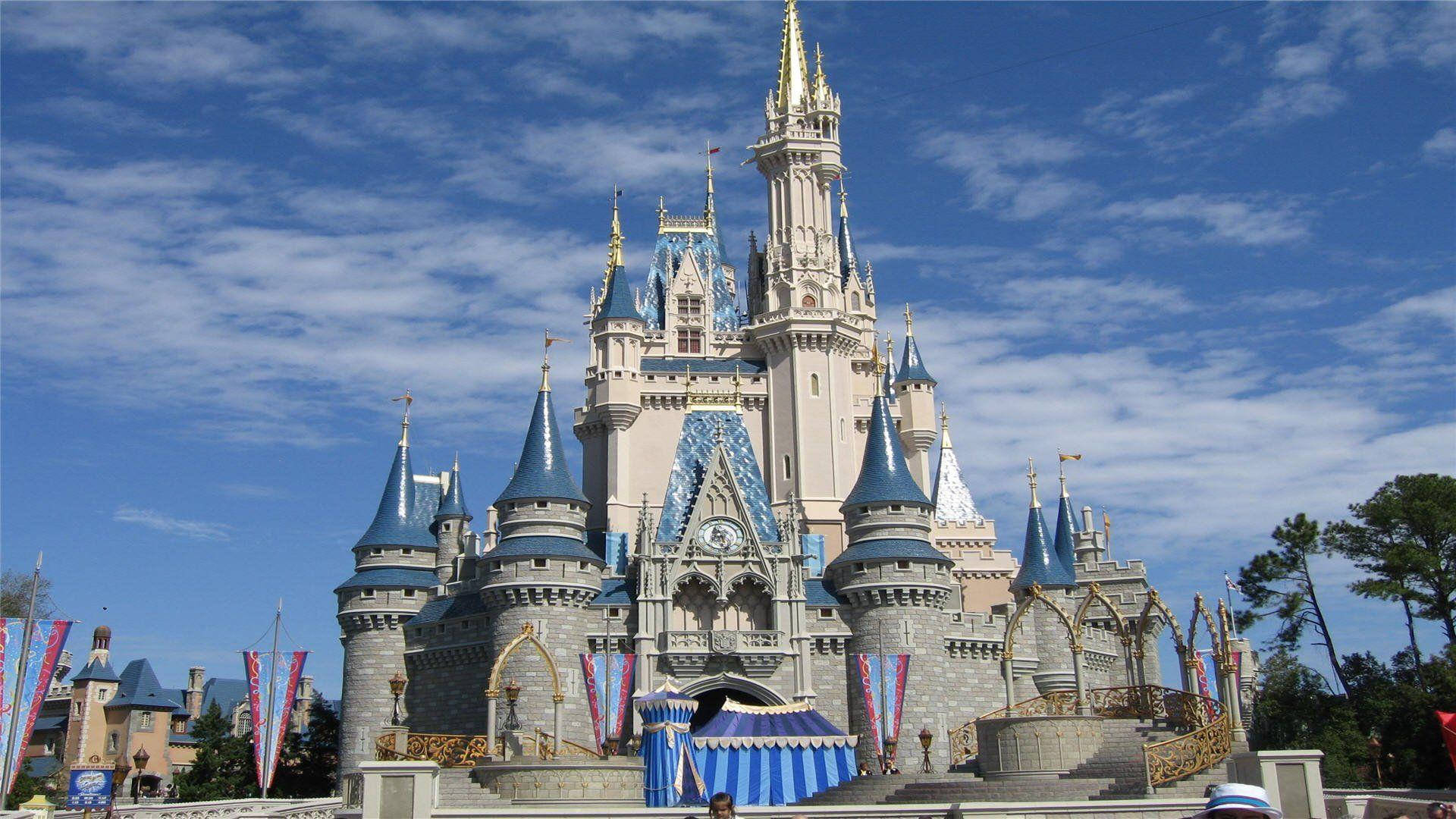 Visãodo Castelo Da Disney Em Ângulo Amplo. Papel de Parede