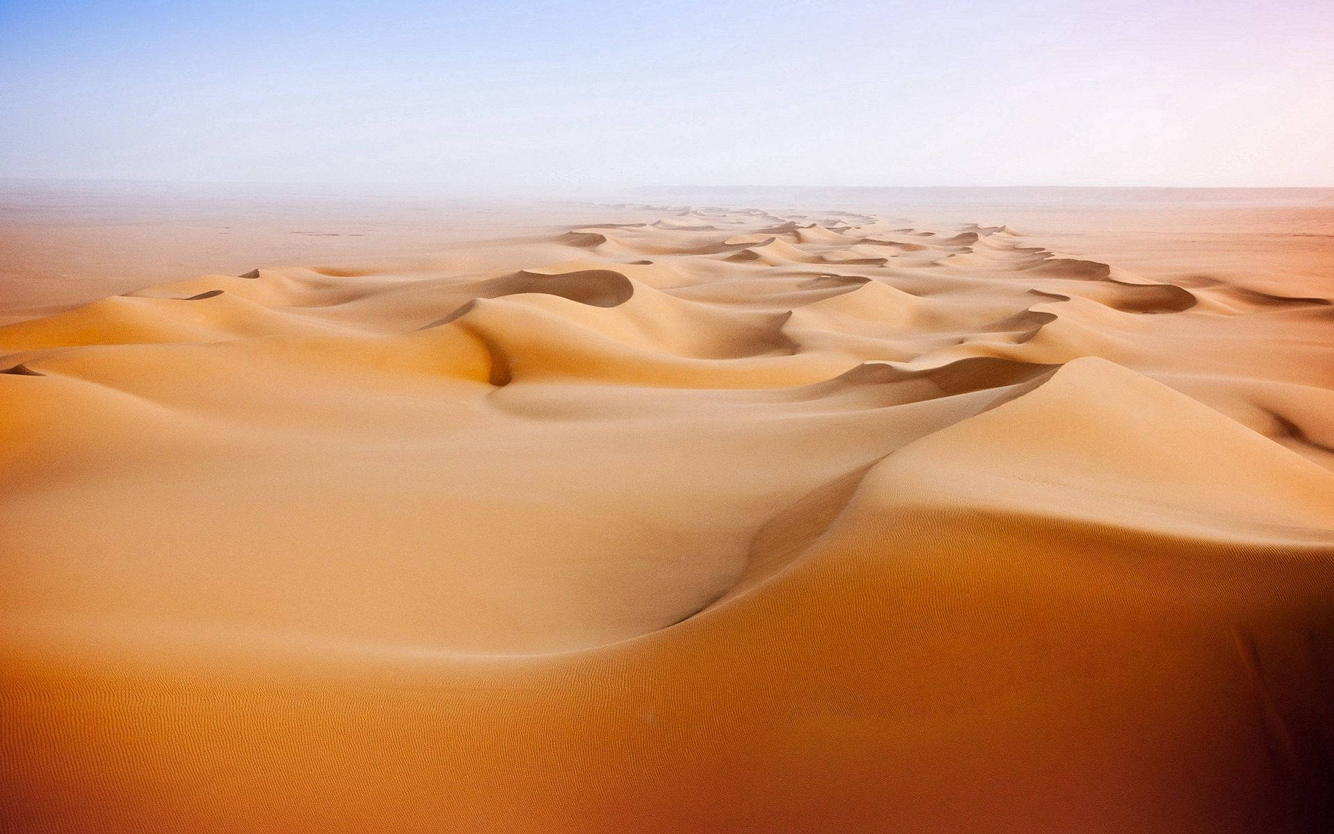 The Unending Life in the Desert Wallpaper