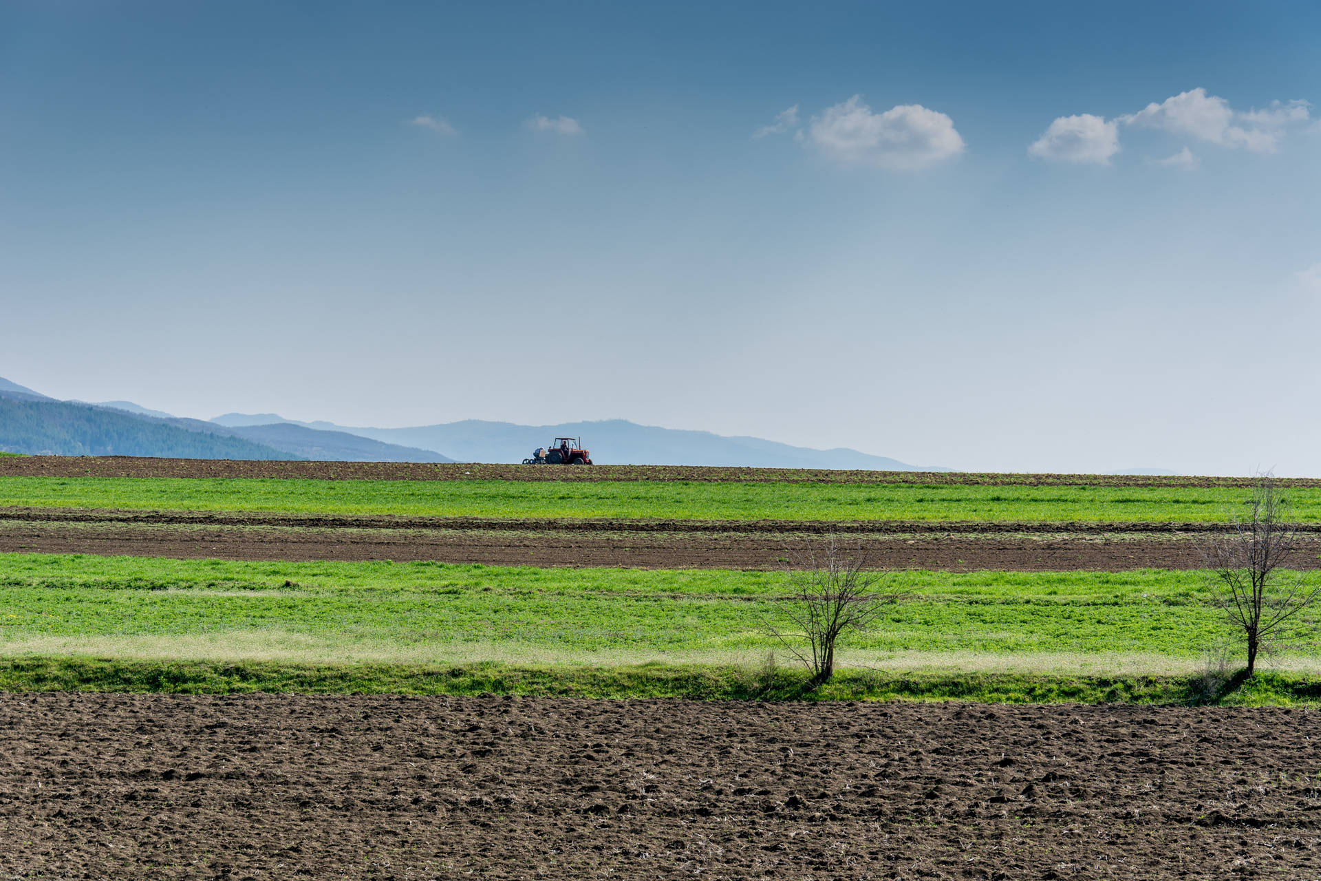Wide Green Fields In Kosovo Background