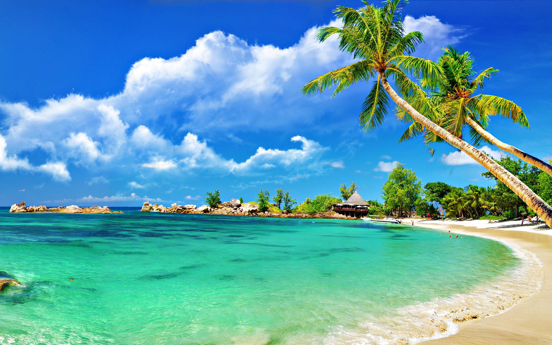 Wide View Shot Of Beach With Coconut Trees Wallpaper