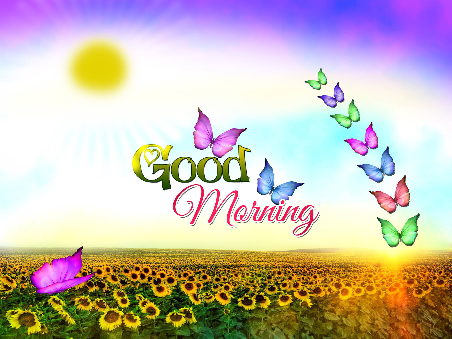 Widescreen Image About Good Morning On Nature Wallpaper High Resolution For Picture