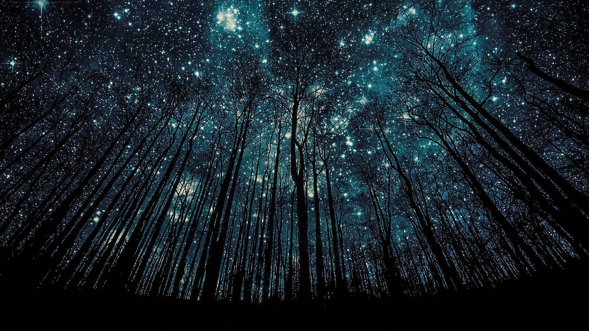 Widescreen Starry Night Sky Wallpaper