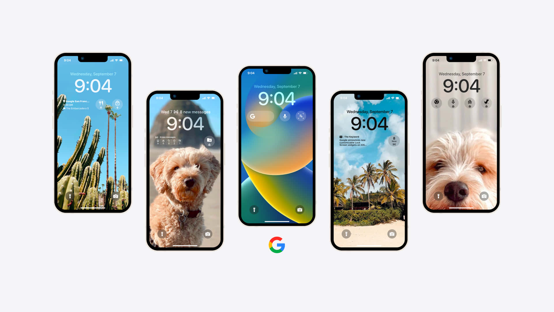 Googlexr - Un Nuevo Teléfono Con Un Perro Y Un Gato.