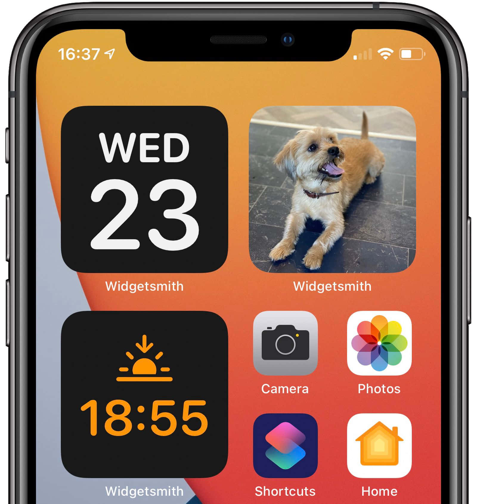an iphone with a dog on the screen