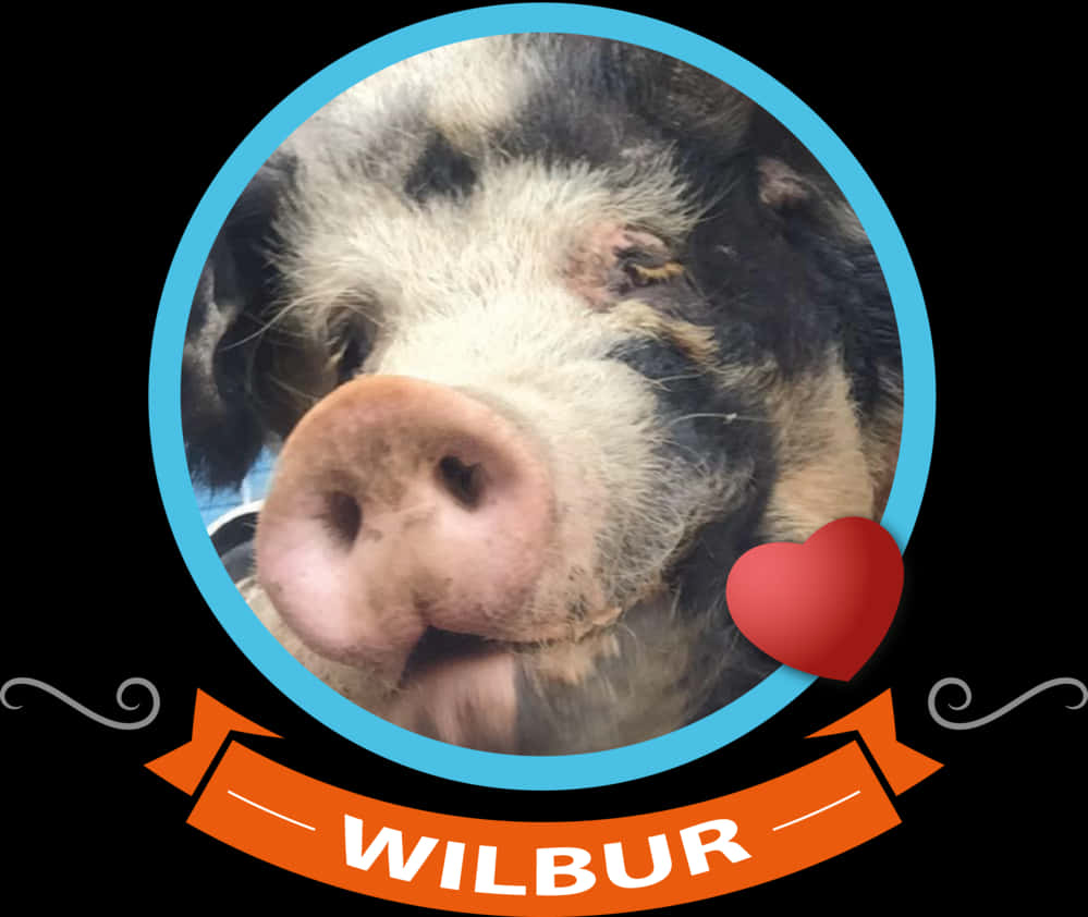 Wilbur Pig Portraitwith Heart PNG