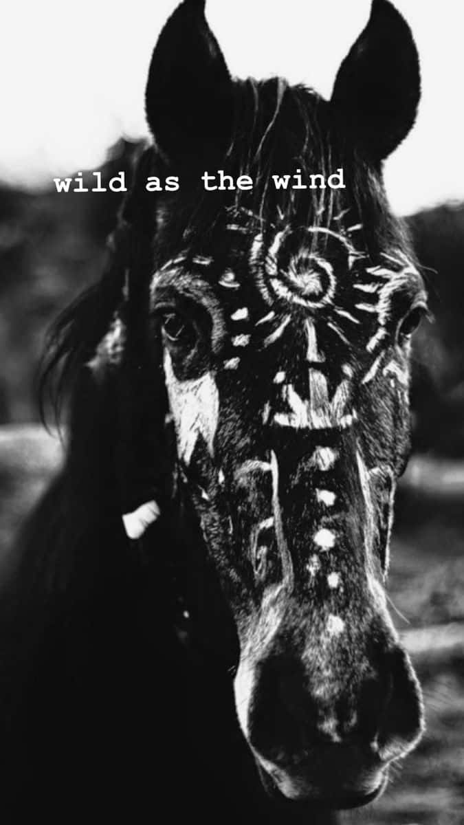Wild As The Wind Horse Portrait Wallpaper