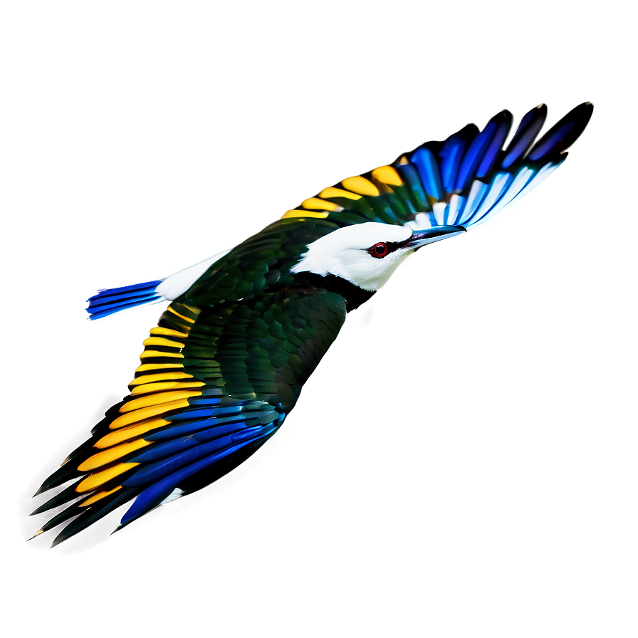 Wild Bird In Flight Png 36 PNG
