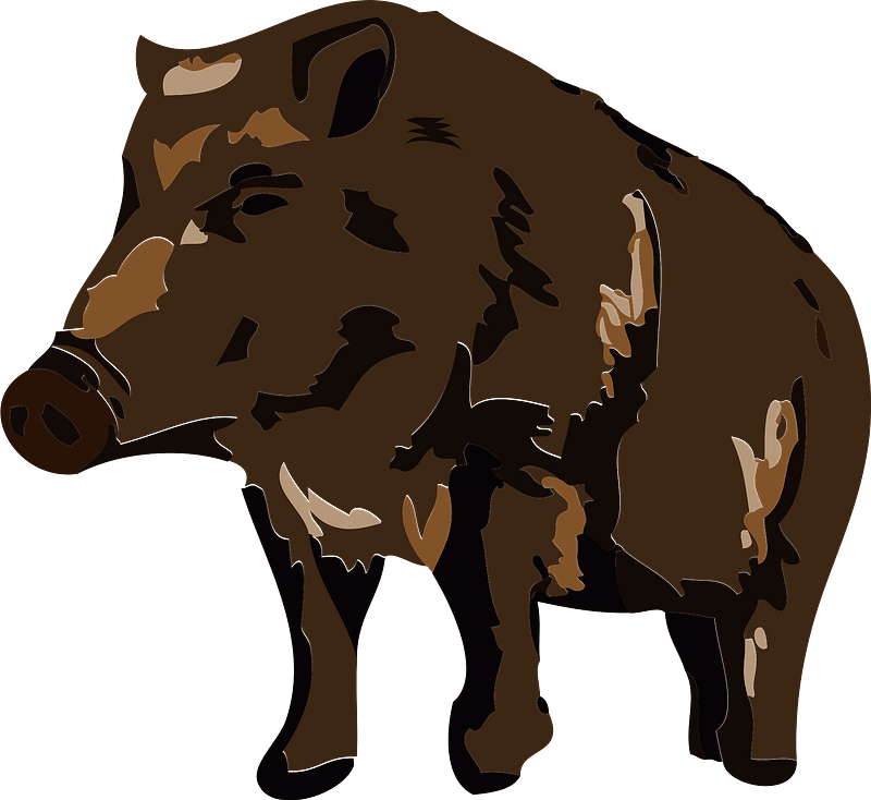 Wild Boar Illustration PNG