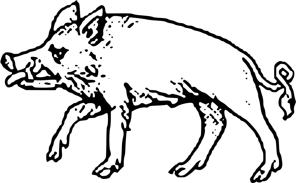 Download Wild Boar Illustration | Wallpapers.com