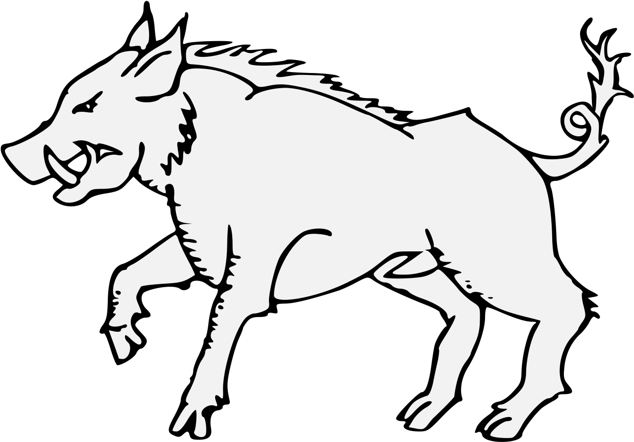 Wild Boar Illustration.png PNG