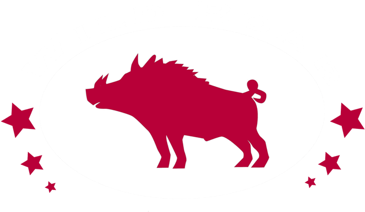 Wild Boar Logo Design PNG