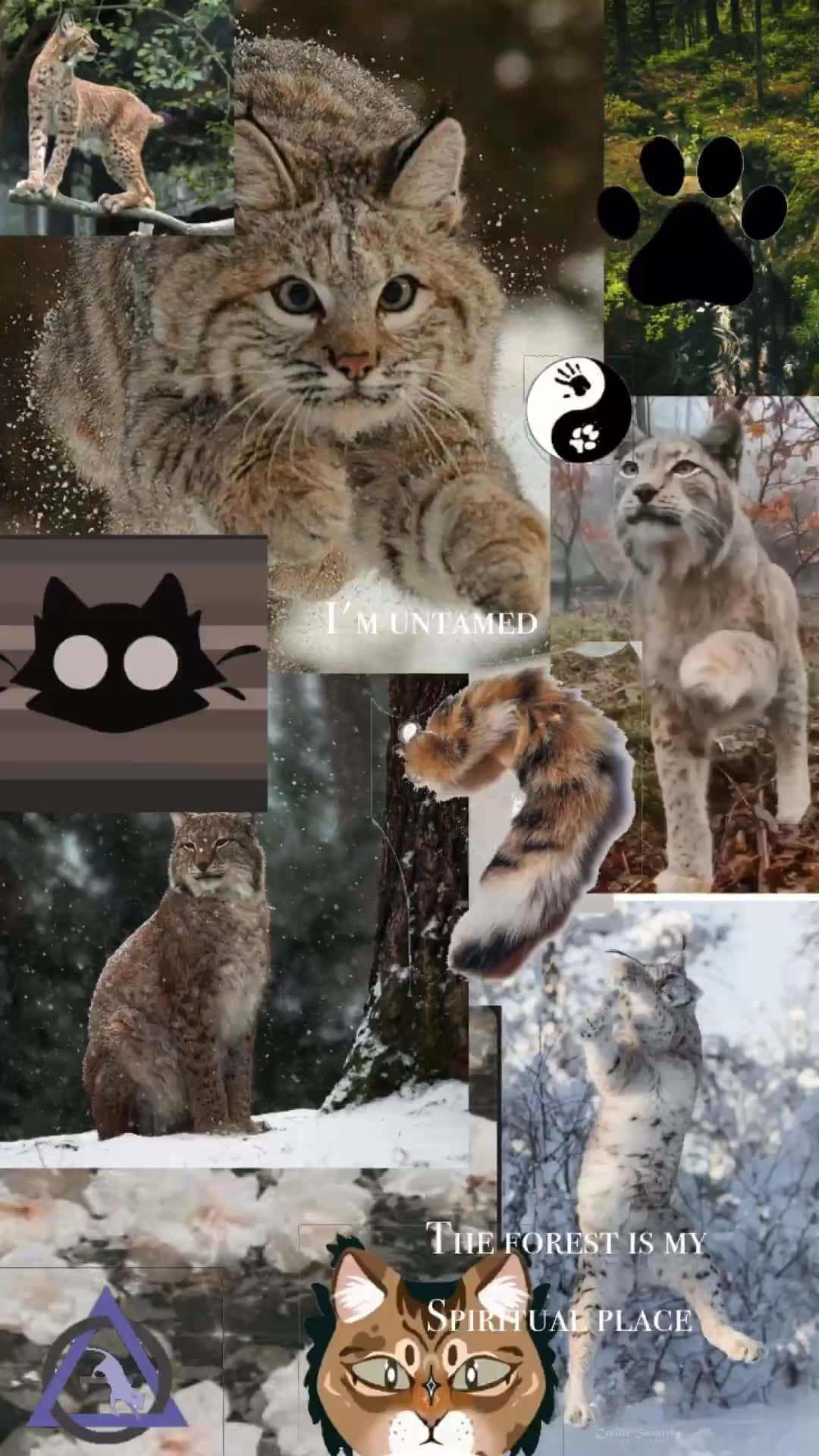 Wild Cat Therian Collage Wallpaper