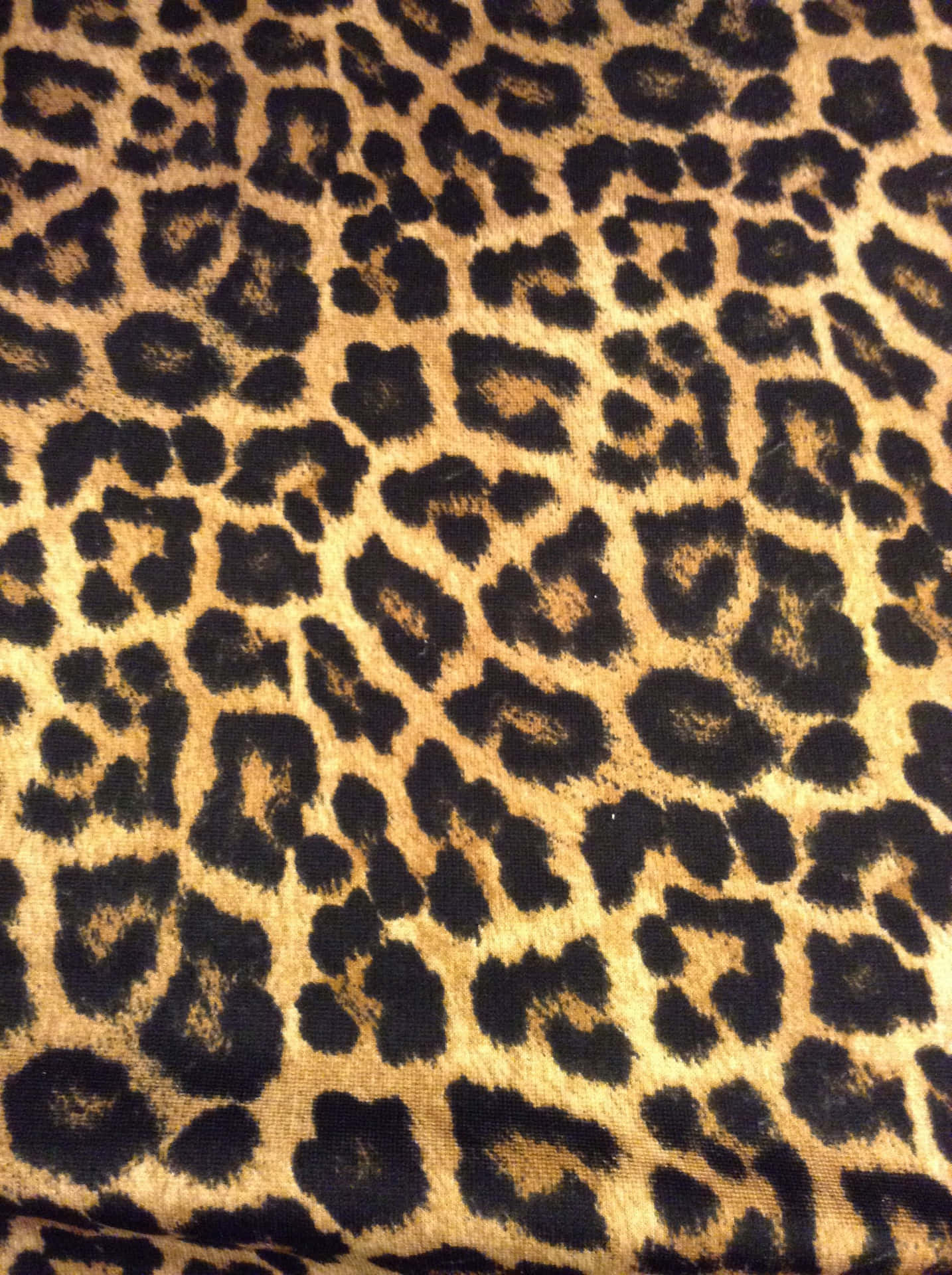 Wild Elegance: Sensational Leopard Print Background
