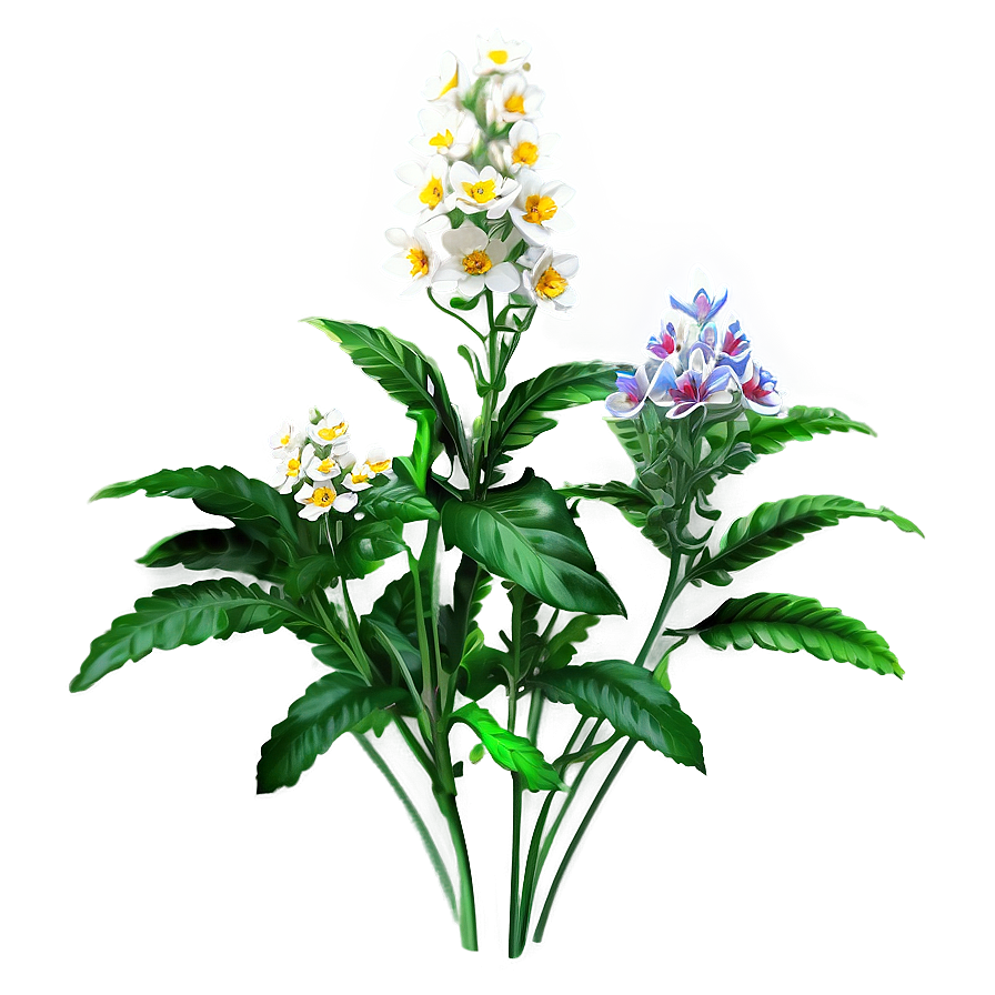 Wild Flower Bush Png Rfy34 PNG