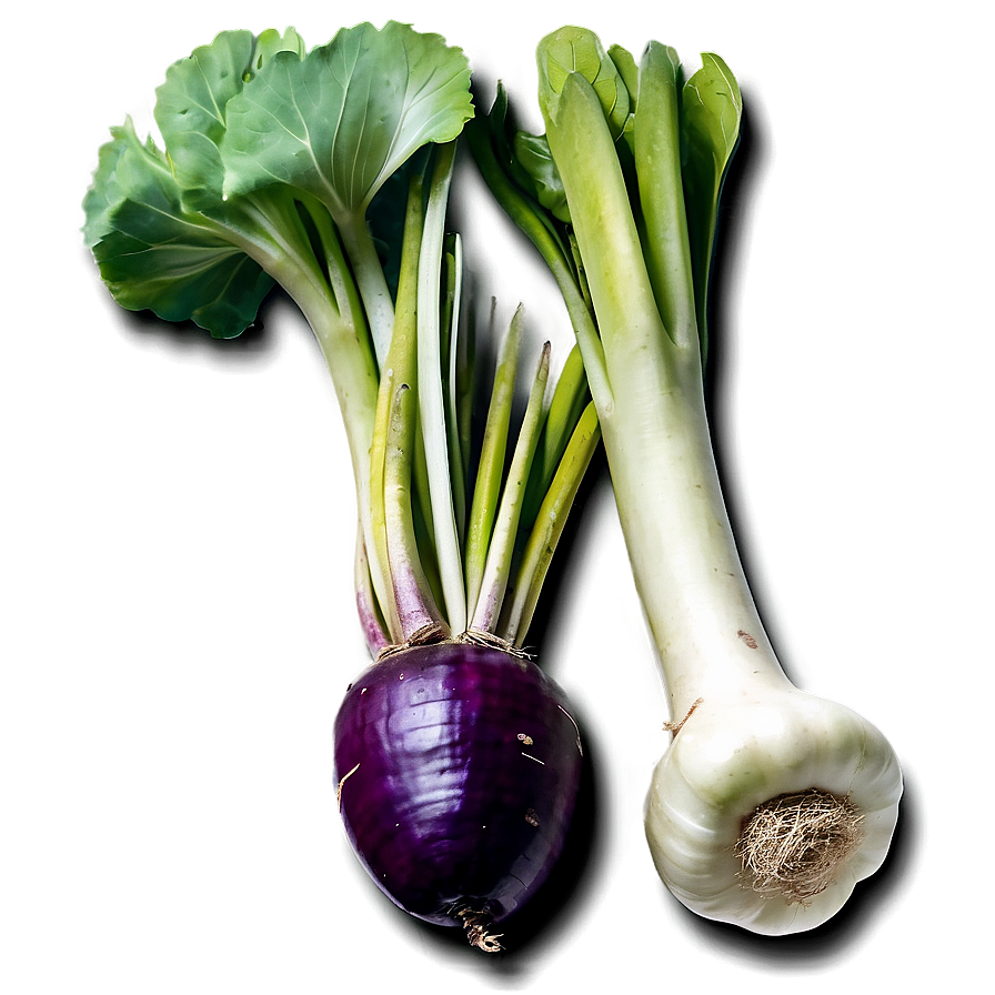 Wild Foraged Vegetables Png 47 PNG