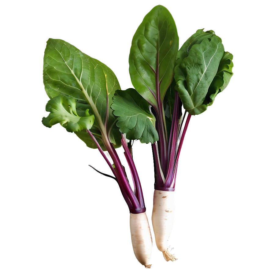 Wild Foraged Vegetables Png Chr PNG