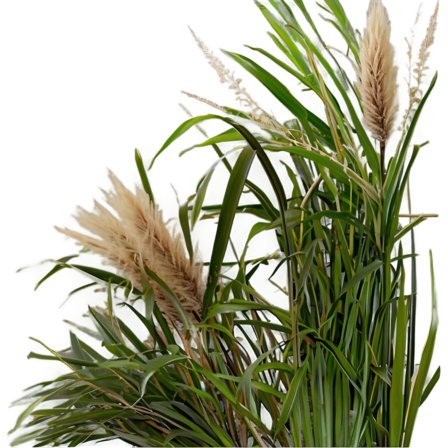 Wild Grass Texture Png 22 PNG