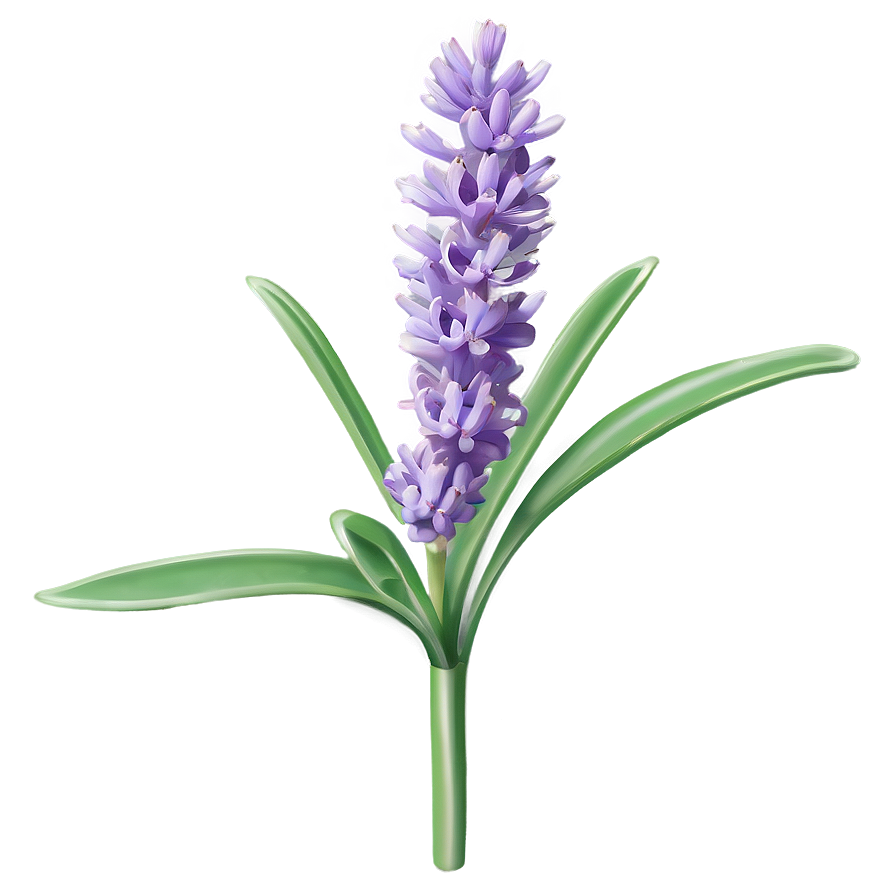 Wild Lavender Plant Png Gks PNG