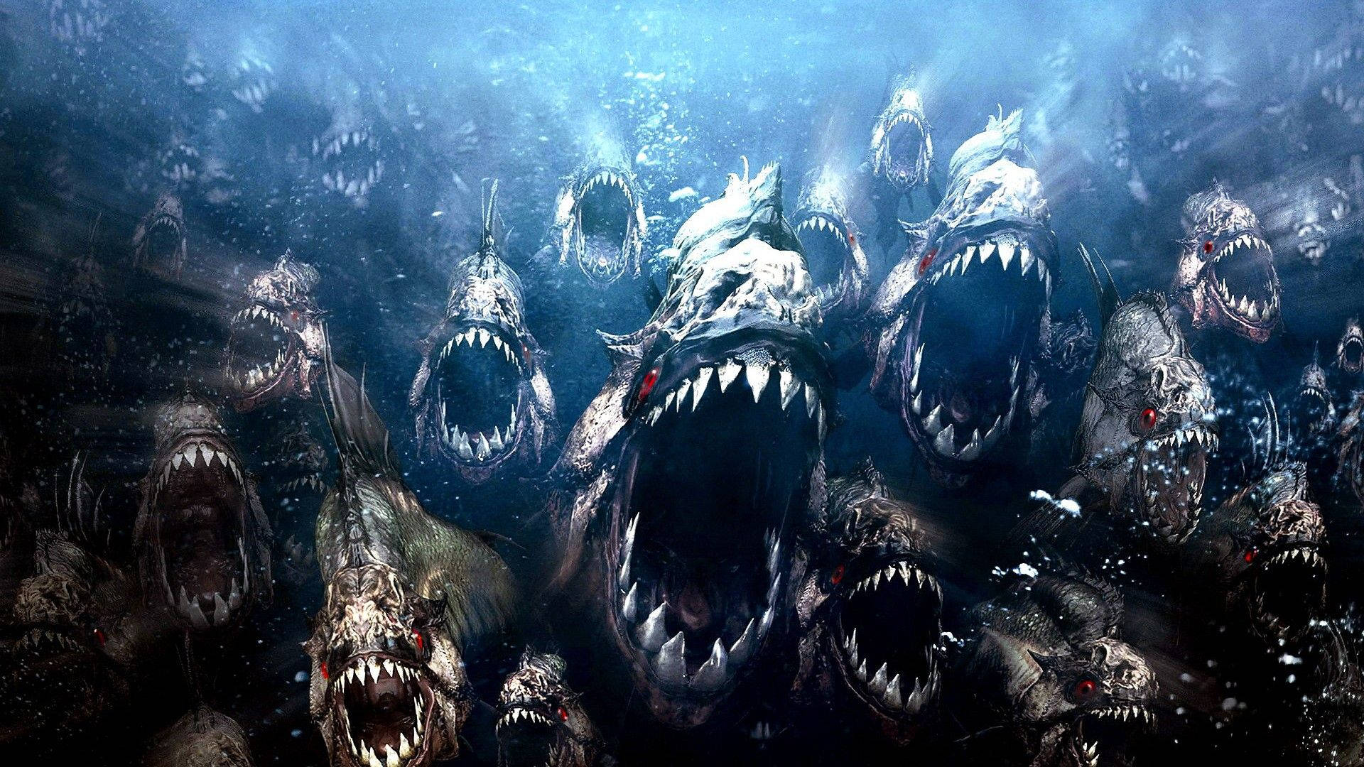 Scary wild piranha desktop wallpaper.