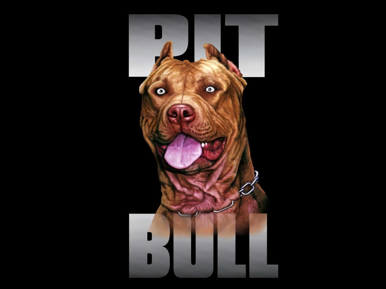 Pósterde Perro Pitbull Salvaje Fondo de pantalla